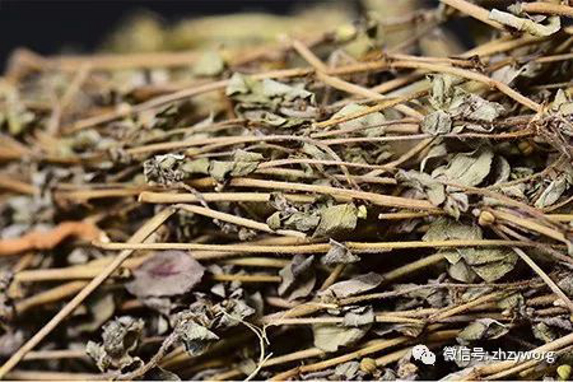 八里镁粉厂